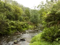 Tarra Valley Retreat Hotels in Yarram