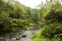 Tarra Valley Retreat Yarram otelleri