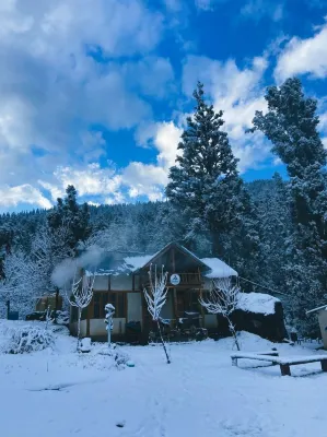 Zevibes Cafe & Homestay Hotels near Tosh Waterfall