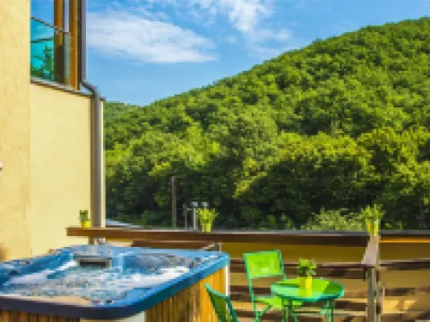 帕塔克公園酒店 維謝格拉德酒店