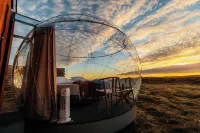 Aurora Igloo - Mountain View