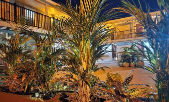 Beach 5 Villas on Amelia Island Steps to the Ocean