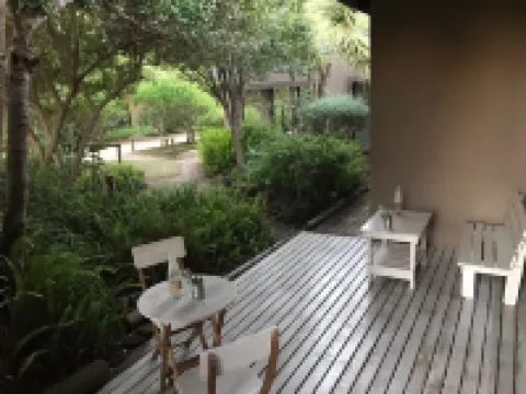 Wilderness Metanoia