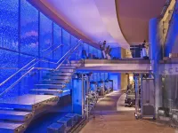 Signia by Hilton Diplomat Beach Resort - Gym