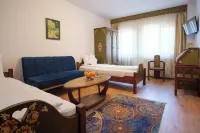 Pensiunea Sibiel Hotels in Решинарі