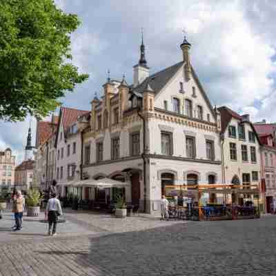 Nexus Rentals Tallinn Others