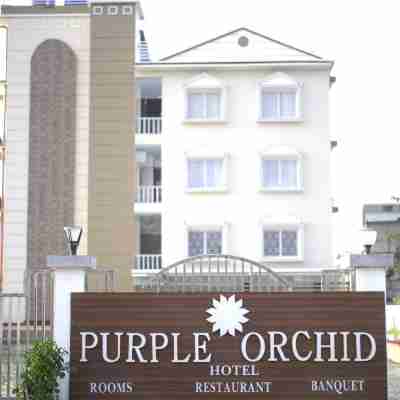 Purple Orchid Hotel Hotel Exterior
