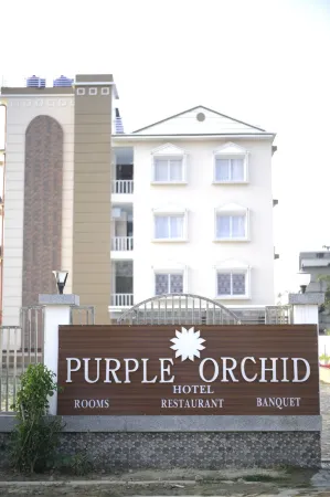 Purple Orchid Hotel Отели рядом с достопримечательностью «Nagaon»