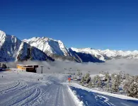 Alpine Chalet in Fieschertal