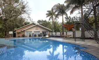 Basilica Resort - Where Luxury Redefines