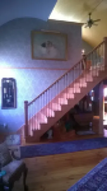 Sleep Like an Angel in an Old Church - Brown Room