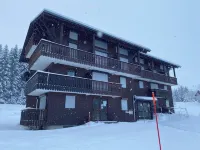 Praz de Lys resort, duplex apartment 200 metres from the ski lifts 타낭즈 호텔