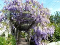 Olive's Cottage, Garden and Fabulous Views: Winter Special 33% off for 3+ Nights