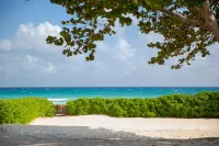 Beachfront Villa Turquesa Playacar in Playa del Carmen