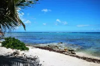 "Nahil 12" Garden View Studio Condo With Beautiful infinity Pool On the Beach