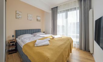 Sand Dunes, Sun & Snow