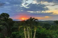 Newly Listed Marvelous Jungle Oasis with Ocean Views