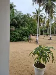 House on 2 hectares of land on the Canal 5 minutes from the sea