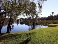Cozy near to Busch Garden, Airport, Raymond James Stadium and more