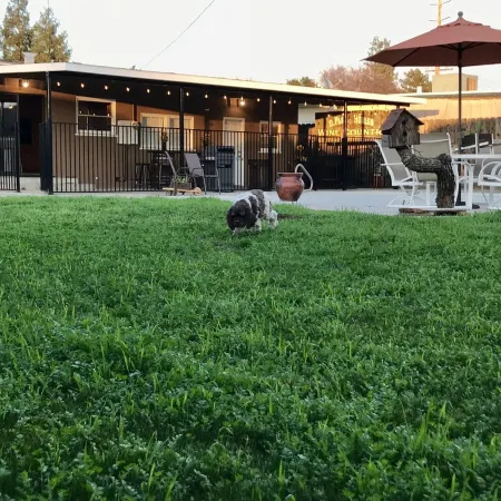 Tulare’s RARE FIND with a pool! Located in the Heart of California’s farmlands!