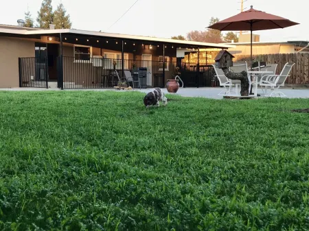 Tulare’s RARE FIND with a pool! Located in the Heart of California’s farmlands!