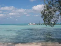 Sea Paradise # 24