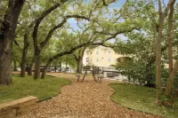 Amazing, Contemporary, Beautiful, Peaceful, and Perfectly Located Property