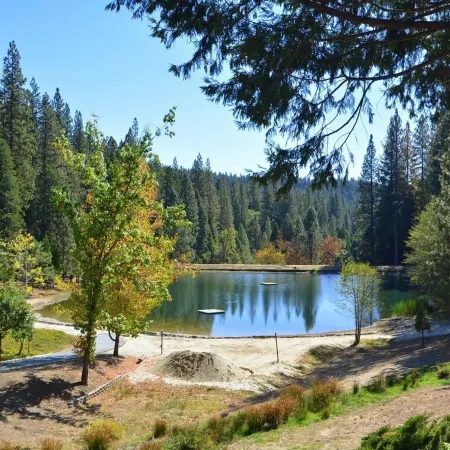 Luxury Home in Blue Lake Springs, Close to Bear Valley and Giant Sequoia Trees
