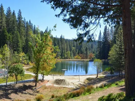 Luxury Home in Blue Lake Springs, Close to Bear Valley and Giant Sequoia Trees