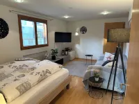 Central but quietly located, lovely and well furnished flat in Balzers. Hôtels à : 