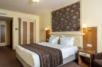 Hotel Leul de Aur - 4-Star