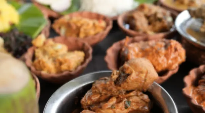 جرام بانجلا ريتريت - صديق للحيوانات الاليفة