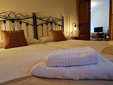 Apartamentos Remoña Отели в г. Посада-де-Вальдеон