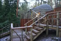 Igluhut Sleeping with Reindeer Hotels in Espoo