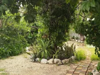 Casa Hostal Mamey - Hostel Các khách sạn ở 