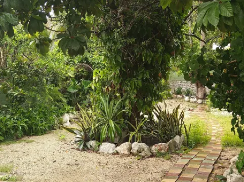 Casa Hostal Mamey - Hostel