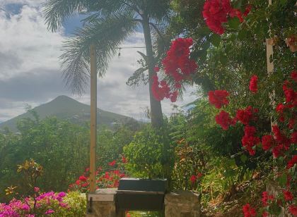 Princess Heights Luxury Condo Hotel