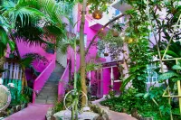Santuario Playa - pet friendly