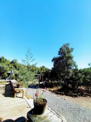 Refugio Silvestre Hotels in Curico Province