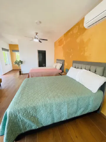 Bungalows Garza Blanca a Pie de Playa Hotels in 