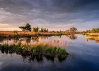 Stay at This Beautiful Accommodation in de Kiel Hotels in Schoonoord