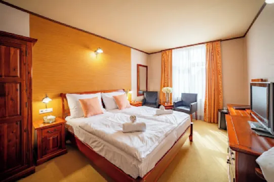 Zlatý Lev Žatec Hotels in 