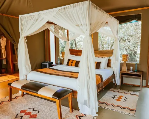Soroi Luxury Migration Camp Hotels in Mara