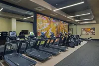 Hilton Parsippany - Gym