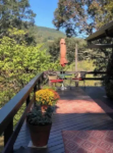 Peaceful and private cabin overlooking the Little Buffalo River. 賈斯珀酒店