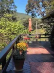 Peaceful and private cabin overlooking the Little Buffalo River.