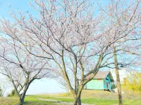 Fbi Awaji