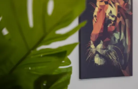 GuestReady - Vera Cruz - C