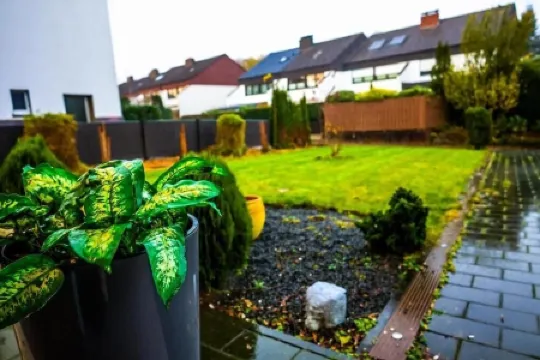 Bibo City Apartment 1