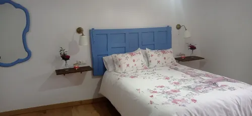 Village House. Nature, Duero riverbank and Romanesque. Friends of your pet. Hotels in Burgo de Osma